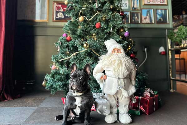 Julbord på O'Learys Gränbystaden i UPPSALA | Julbordsportalen.se
