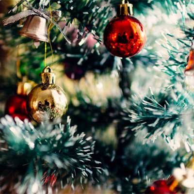 Julbord på Ärtholmsgårdens Festvåning i MALMÖ | Julbordsportalen.se