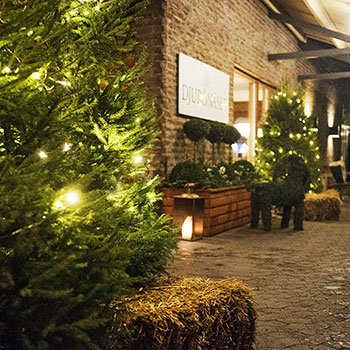 Julbord på Djurönäset i DJURHAMN | Julbordsportalen.se